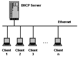 comment installer dhcp3-server