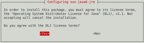 sun java couple of runtime environment 1.6.0_20
